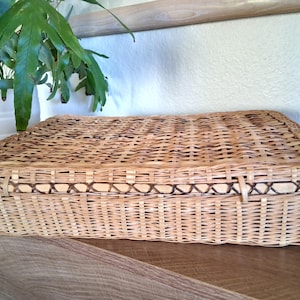 May include: Rectangular woven wicker basket with a lid. The basket is light brown with darker brown accents around the edges. The basket is sitting on a wooden surface. A potted plant is in the background.