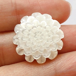Può includere: Un bottone bianco in madreperla intagliato a forma di fiore.