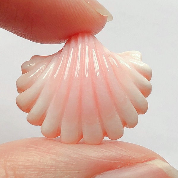 Pink Queen Conch Clamshell Clam Shell Cabochon 18x20 mm ou 14x15 mm One Piece C8300 C8871