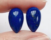 Royal Blue Lapis Lazuli Half Top Drilled Inverted Acorn Drops 8x14 mm One Pair G7755