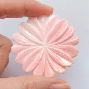 Pink Queen Conch Shell Carved Daisy Pendant with Drilled hole 40 mm or 45 mm One Piece C8397
