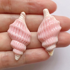 Può includere: Due conchiglie rosa e bianche con un motivo a spirale. Le conchiglie sono lisce e hanno una finitura lucida.