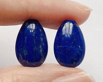 Blue Lapis Lazuli Flat Half Top Geboorde Bloemblaadjes Druppels 10x15x6 mm Een paar C8593