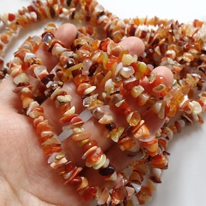 May include: A strand of orange, red, and white chip gemstone beads. The beads are irregular in shape and size, and they are strung on a clear thread.