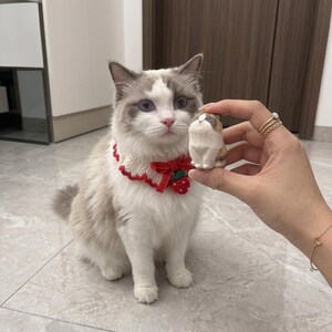 May include: A long-haired cat with blue eyes and white and grey fur wearing a white crocheted collar with a red strawberry accent and a red ribbon bow, positioned next to a small, hand-carved wooden figurine of a cat with similar markings.