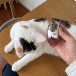 May include: A small, hand-held wooden figurine shaped like the rear end of a calico cat, featuring white, orange, and dark gray patches. The figurine has a rounded top with a small tail nub and a painted pattern mimicking a cat's fur markings.