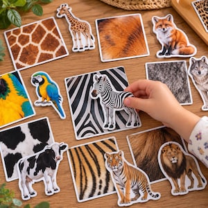 May include: A collection of square cards featuring various animal fur and skin patterns, including giraffe, zebra, tiger, and cow prints. Die-cut animal figures such as a fox, parrot, lion, and zebra are placed on top of their matching textures.