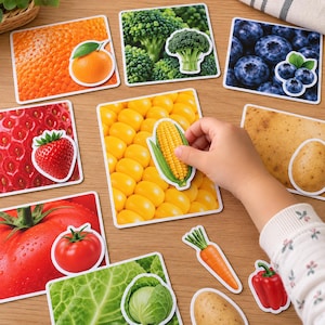 May include: A set of educational cards featuring various fruits and vegetables, including orange, broccoli, blueberry, strawberry, corn, potato, tomato, cabbage, carrot, and red bell pepper, with a hand placing a corn card onto a corn background.