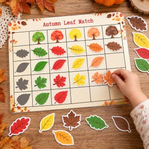 Puede incluir: Un juego educativo Autumn Leaf Match que consiste en un tablero con cuadrícula ilustrado con árboles y hojas de varios colores. Incluye recortes de hojas a juego en rojo, amarillo, naranja, verde y marrón para clasificar y reconocer patrones.