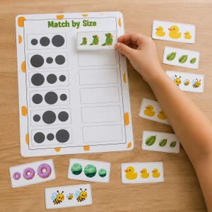 May include: A Match by Size educational activity sheet featuring rows of black circles in varying sizes. Several rectangular cards with illustrations of green parrots, yellow ducks, green leaves, bees, and purple donuts are arranged for matching.