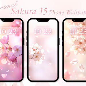 Könnte beinhalten: Drei Smartphones mit Minimal Sakura 15 Handy-Hintergründen. Jedes Telefon zeigt ein anderes rosa-weißes Blumendesign mit Uhrzeit und Datum. Die Telefone haben schwarze Ränder vor einem weichen rosa Hintergrund.