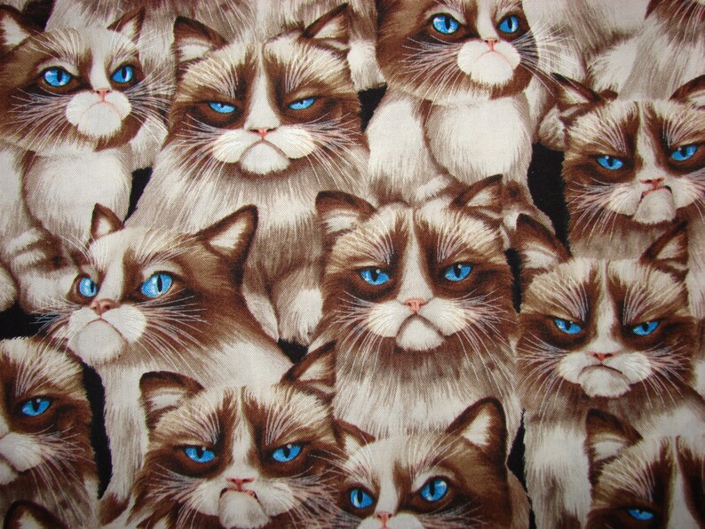 cats feline pets grumpy Moody Cat Fabric Hair Scrunchie funny felines womans scrunchies pet lovers cat lover gifts women/'s accessories