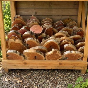 May include: A wooden display shelf filled with numerous, irregularly shaped, cross-sections of wood. The wood slices have a natural, reddish-brown hue with lighter-colored edges. The shelf is made of light-colored wood and is outdoors.
