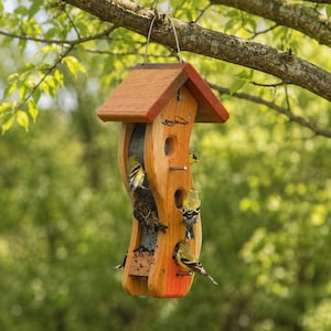 May include: A wooden bird feeder with a red roof hangs from a tree branch. Several small yellow and black birds perch on the feeder, which has a curved design and a mesh feeding area. The background is a blurred green.