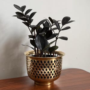 Vintage Brass Diamond Pattern Cache Pot Planter | Hollywood Regency Mid Century Plant Pot
