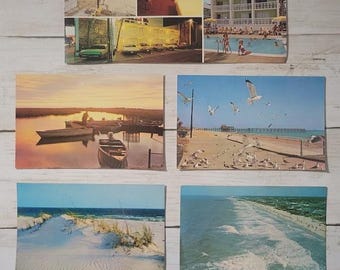 Vintage 1960s Myrtle Beach Postcards – Lusterchrome, Plastichrome Collection: Boardwalk, Inlet, Sea Weed Motel