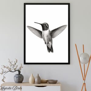 May include: A black and white framed wall art print featuring a detailed illustration of a hummingbird in flight with wings fully extended. The bird is centered against a stark white background within a thin black frame. The text The Majestic Birds is visible in the bottom left corner of the image.