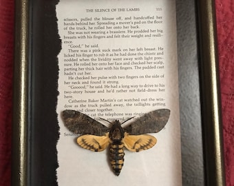 Silence of the lambs framed Deaths head hawk moth taxidermy shadowbox book pages upcycled art insects skull