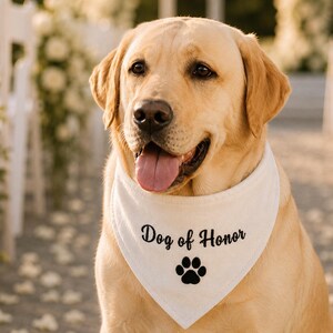 Pu&ograve; includere: Un Labrador Retriever giallo che indossa una bandana triangolare bianca per animali domestici. La bandana presenta il testo ricamato in nero "Dog of Honor" posizionato sopra un'impronta di zampa nera. Il cane ha la bocca aperta e la lingua visibile.