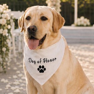 Pu&ograve; includere: Un Labrador Retriever giallo seduto su un patio in pietra, che indossa una bandana triangolare bianca per animali domestici. La bandana presenta il testo nero "Dog of Honor" stampato sopra una grafica di un'impronta di zampa nera.