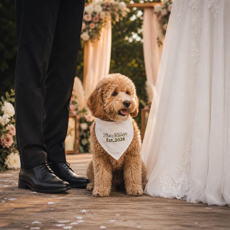 Peut inclure: Un chien au pelage boucl&eacute; brun clair portant un bandana triangulaire blanc autour du cou. Le bandana pr&eacute;sente une inscription brod&eacute;e en vert fonc&eacute; indiquant The Millers Est.2026. Le chien est plac&eacute; entre deux paires de jambes en tenue formelle.