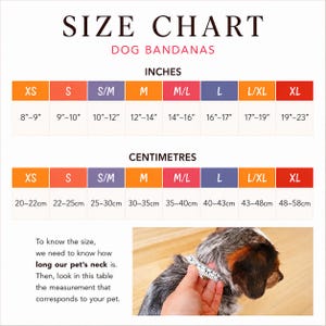 Pu&ograve; includere: Una tabella delle taglie per bandane per cani con colonne per le taglie dalla XS alla XL e misure in pollici e centimetri. La tabella include istruzioni per misurare il collo di un animale e mostra una mano che usa un metro sul collo.