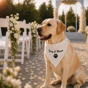 Pu&ograve; includere: Un Labrador Retriever di colore chiaro indossa una bandana triangolare bianca per animali domestici. La bandana presenta il testo nero Dog of Honor stampato sopra una grafica di un'impronta di zampa nera. Il cane &egrave; seduto all'aperto con sedie.