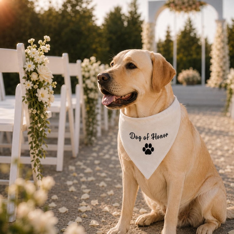 Pu&ograve; includere: Un Labrador Retriever di colore chiaro indossa una bandana triangolare bianca per animali domestici. La bandana presenta il testo nero Dog of Honor stampato sopra una grafica di un'impronta di zampa nera. Il cane &egrave; seduto all'aperto con sedie.