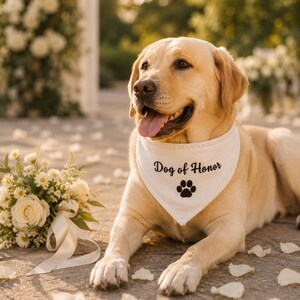 Pu&ograve; includere: Un Labrador Retriever giallo chiaro indossa una bandana triangolare bianca per animali domestici. Il tessuto presenta il testo nero Dog of Honor stampato sopra un'icona a forma di zampa nera. Il cane &egrave; posizionato con la bocca aperta e la lingua visibile.