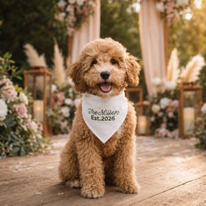 Peut inclure: Un chien au pelage dor&eacute; et boucl&eacute; assis, portant un bandana triangulaire blanc pour animal. L'accessoire en tissu pr&eacute;sente une inscription brod&eacute;e en vert fonc&eacute; indiquant The Millers Est. 2026, centr&eacute;e sur le devant de la pi&egrave;ce textile.