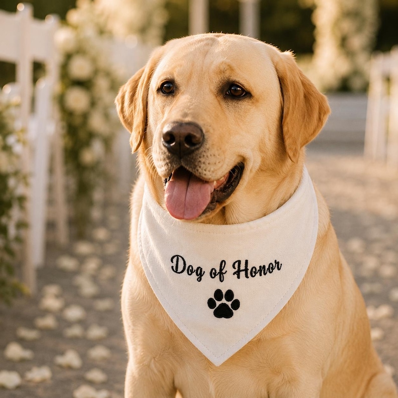Pu&ograve; includere: Un Labrador Retriever giallo che indossa una bandana triangolare bianca per animali domestici. La bandana presenta il testo ricamato in nero "Dog of Honor" posizionato sopra un'impronta di zampa nera. Il cane ha la bocca aperta e la lingua visibile.