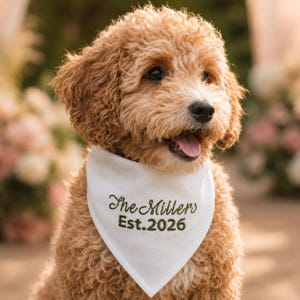 Peut inclure: Un chien au pelage boucl&eacute; dor&eacute;-brun portant un bandana triangulaire blanc. Le bandana pr&eacute;sente une inscription brod&eacute;e en vert fonc&eacute; indiquant The Millers Est. 2026. Le chien a des yeux sombres, une truffe noire et la gueule entrouverte.