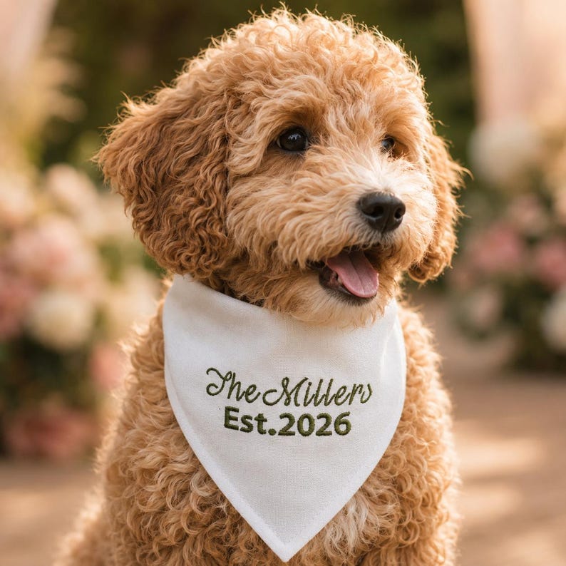 Peut inclure: Un chien au pelage boucl&eacute; dor&eacute;-brun portant un bandana triangulaire blanc. Le bandana pr&eacute;sente une inscription brod&eacute;e en vert fonc&eacute; indiquant The Millers Est. 2026. Le chien a des yeux sombres, une truffe noire et la gueule entrouverte.