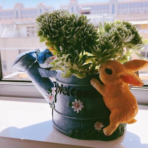 以下が含まれることがあります： 多肉植物が入った、じょうろ型の装飾用プランター。濃い青色のプランターには、注ぎ口に小さな青い鳥、側面にオレンジ色のウサギがいます。「Welcome」の文字がプランターに書かれています。