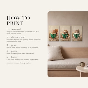 How to print card: five numbered steps, download, choose a size, print, paper and frame, beside a photo of the squirrel, sloth and kitten prints framed above a wooden daybed