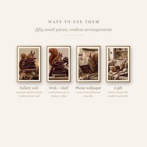 Four framed squirrel prints showing ways to use them: gallery wall, desk, phone wallpaper and gift