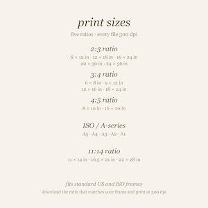 Size chart listing the five printable ratios included: 2:3, 3:4, 4:5, ISO A-series, and 11:14, all print-ready.