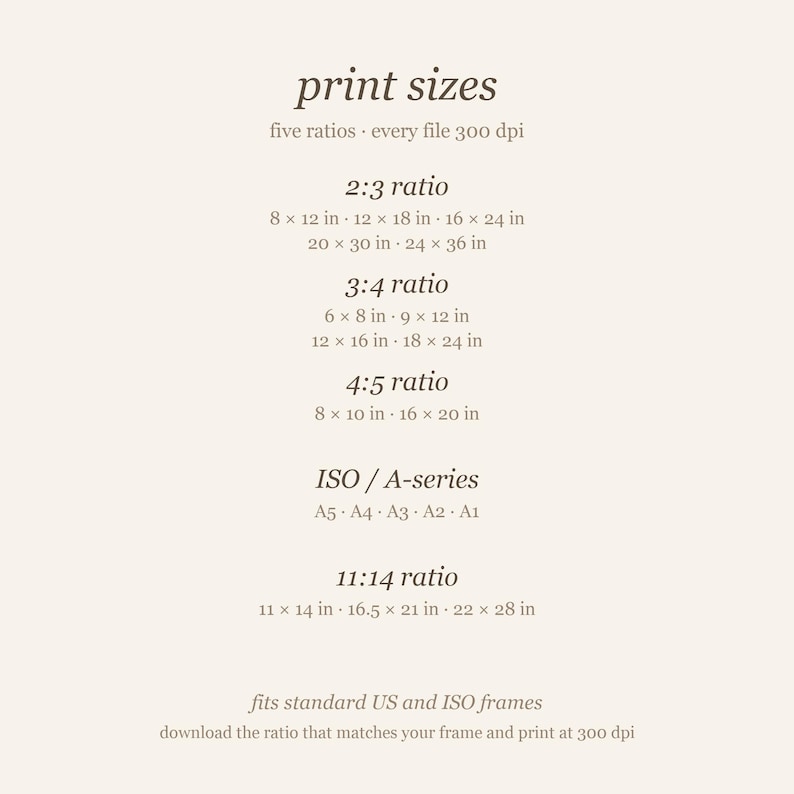 Size chart listing the five printable ratios included: 2:3, 3:4, 4:5, ISO A-series, and 11:14, all print-ready.
