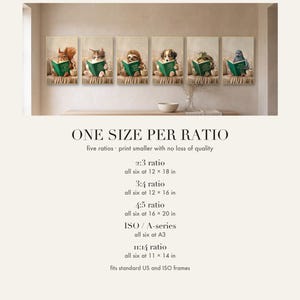 Print size chart: all six framed reading animal prints in a row on a plaster wall, above the five ratios included: 2:3 at 12 by 18 inches, 3:4 at 12 by 16, 4:5 at 16 by 20, ISO at A3 and 11:14 at 11 by 14 inches