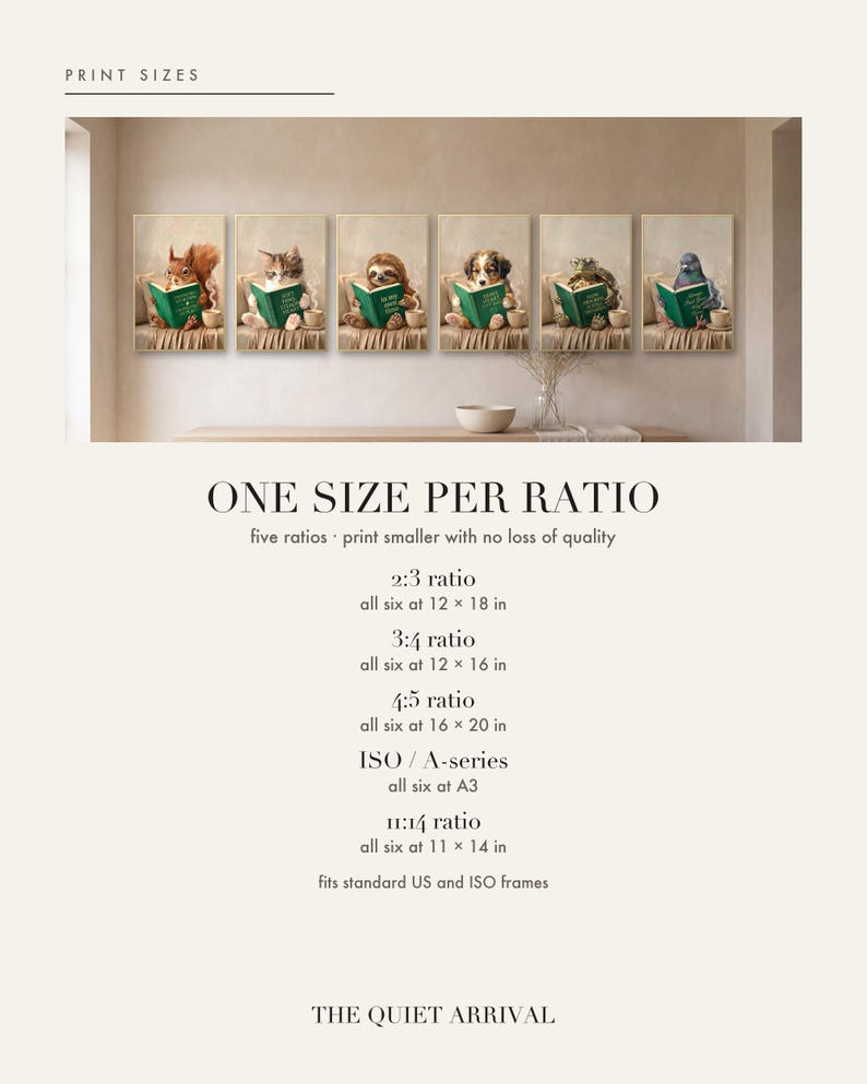 Print size chart: all six framed reading animal prints in a row on a plaster wall, above the five ratios included: 2:3 at 12 by 18 inches, 3:4 at 12 by 16, 4:5 at 16 by 20, ISO at A3 and 11:14 at 11 by 14 inches