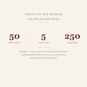 Bundle contents card showing fifty illustrations, five ratios and two hundred fifty image files