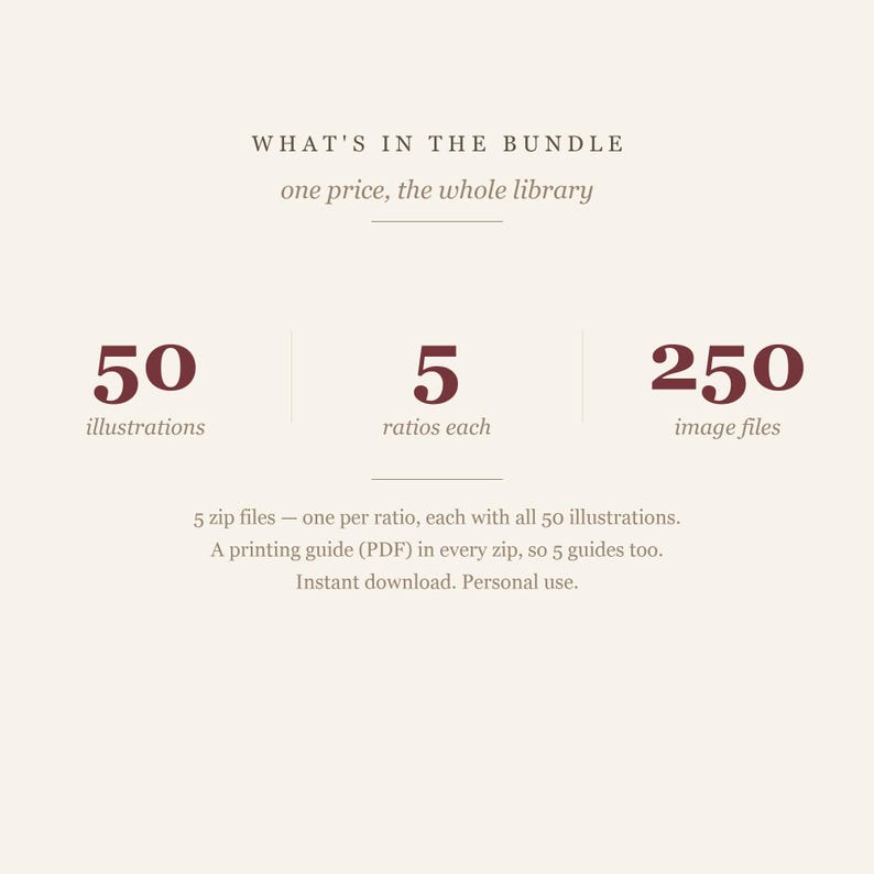 Bundle contents card showing fifty illustrations, five ratios and two hundred fifty image files