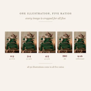 One cat reading illustration cropped to all five included ratios, labelled 2:3, 3:4, 4:5, ISO A6 and 9:16, with a note that all fifty illustrations come in every ratio.
