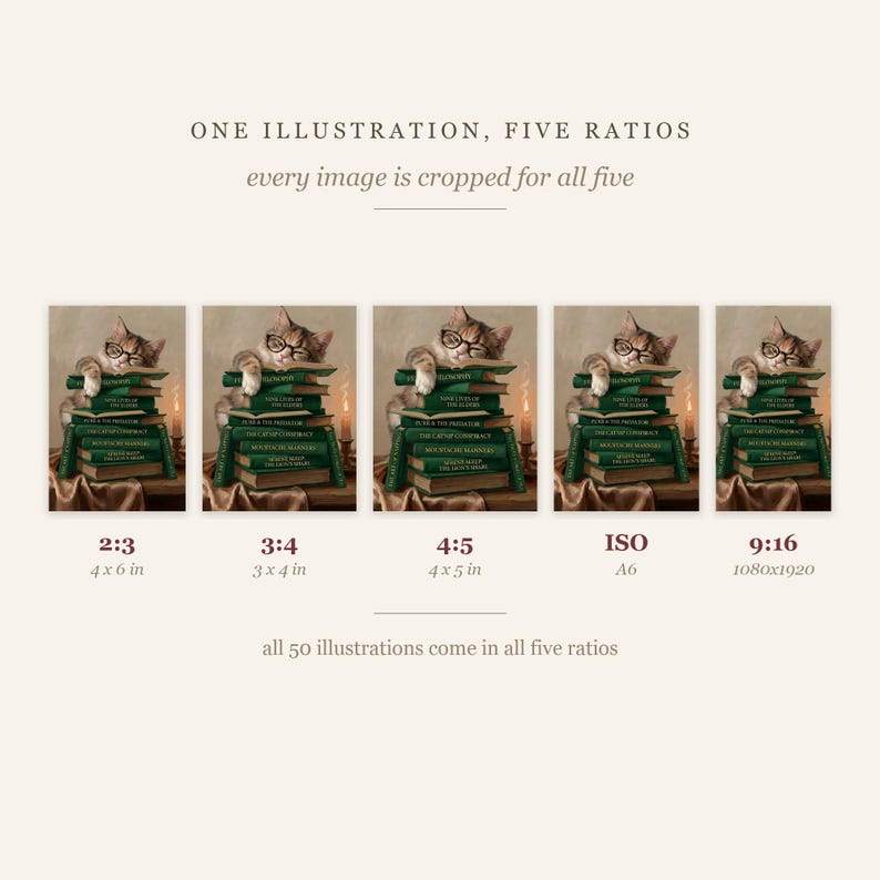 One cat reading illustration cropped to all five included ratios, labelled 2:3, 3:4, 4:5, ISO A6 and 9:16, with a note that all fifty illustrations come in every ratio.