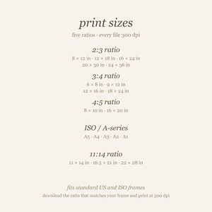Size chart listing the five printable ratios included: 2:3, 3:4, 4:5, ISO A-series, and 11:14, all print-ready.