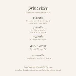 Size chart. Five ratios included: 2:3, 3:4, 4:5, ISO (A5-A1) and 11x14.