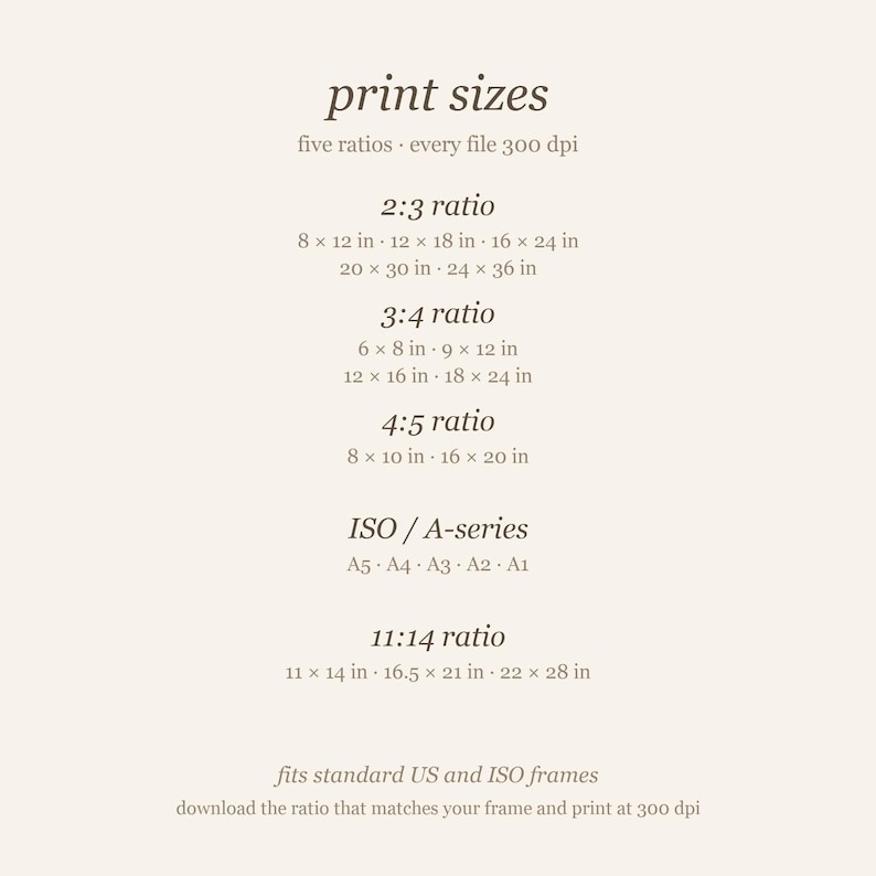 Size chart. Five ratios included: 2:3, 3:4, 4:5, ISO (A5-A1) and 11x14.