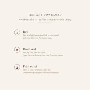 Instant download steps card explaining how to buy, download and print the squirrel illustrations