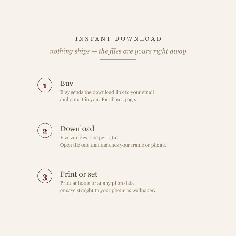 Instant download steps card explaining how to buy, download and print the squirrel illustrations