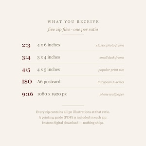 What you receive card listing the five aspect ratios and print sizes included in the squirrel illustration bundle